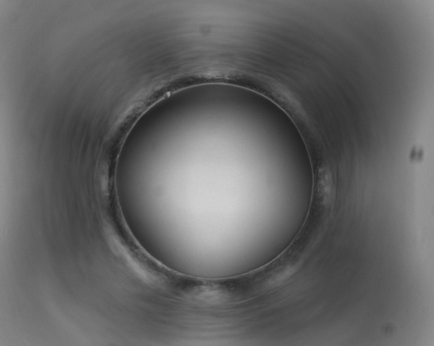 X0000113230589200909171541