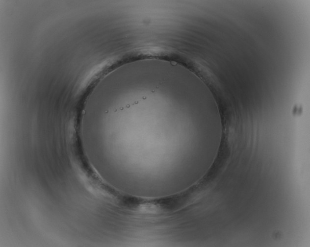 X0000113230591200909171541