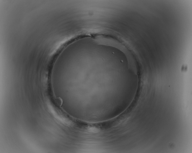 X0000113230592200909171541