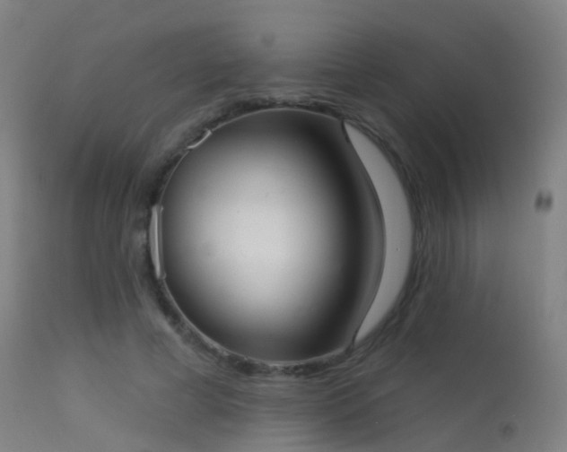 X0000113230593200909171541