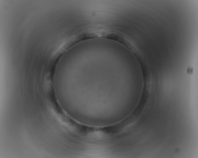 X0000113230594200909171541