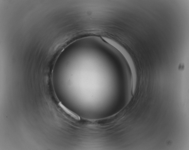 X0000113230595200909171541