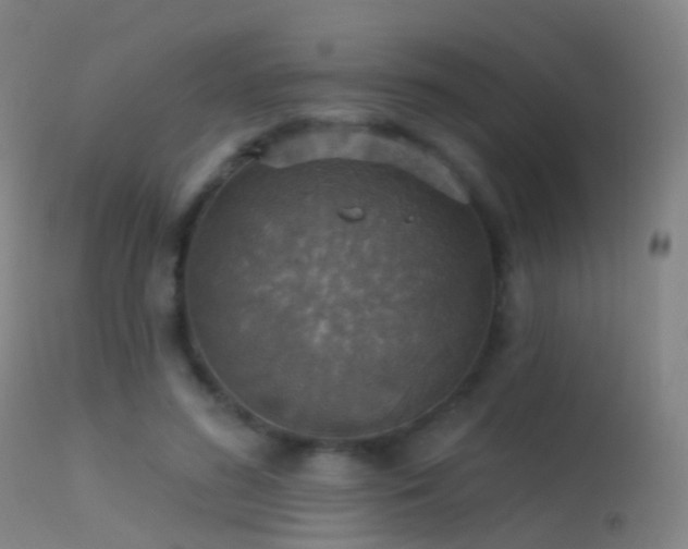 X0000113230596200909171541