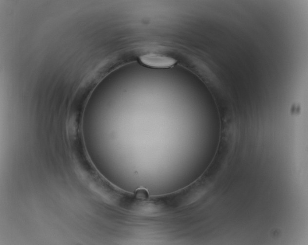 X0000113230597200909171541