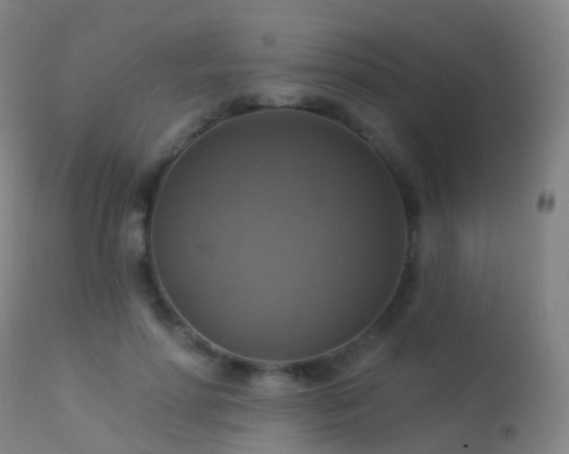 X0000113230598200909171541