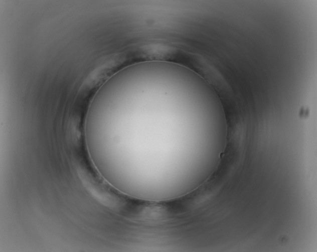 X0000113230599200909171541