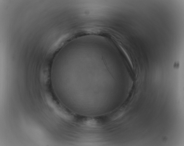 X0000113230600200909171541