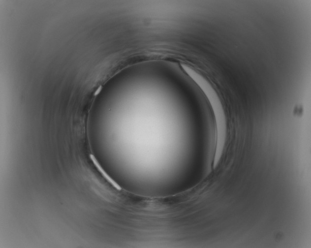 X0000113230601200909171541