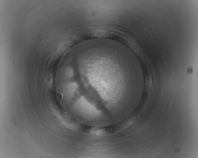 X0000113230602200909171541