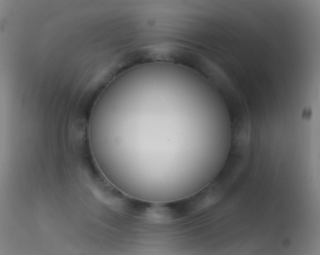 X0000113230603200909171541