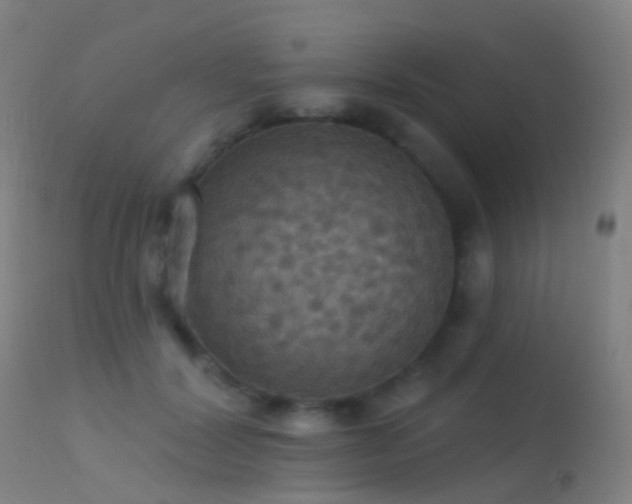 X0000113230604200909171541