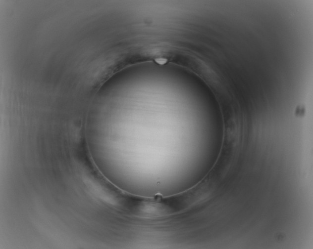 X0000113230605200909171541