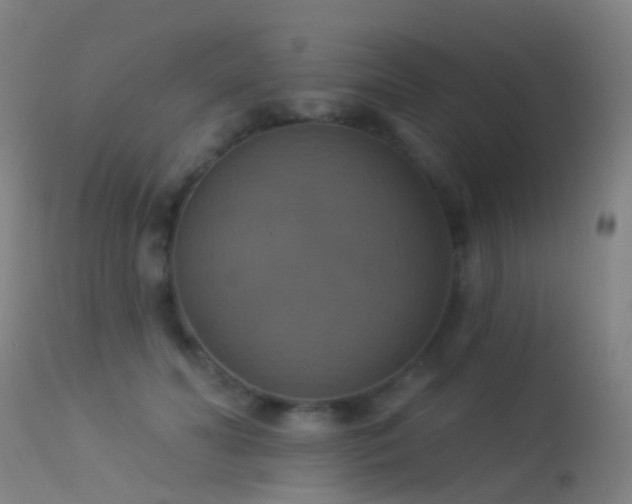 X0000113230606200909171541