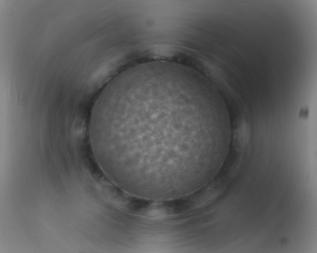 X0000113230608200909171541