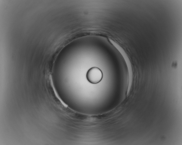 X0000113230609200909171541