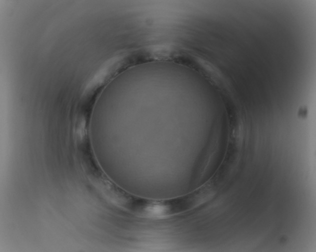 X0000113230610200909171541