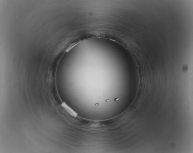 X0000113230611200909171541