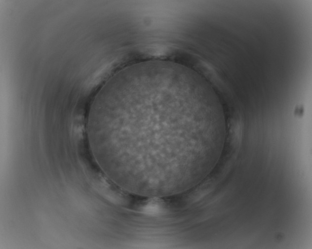 X0000113230612200909171541