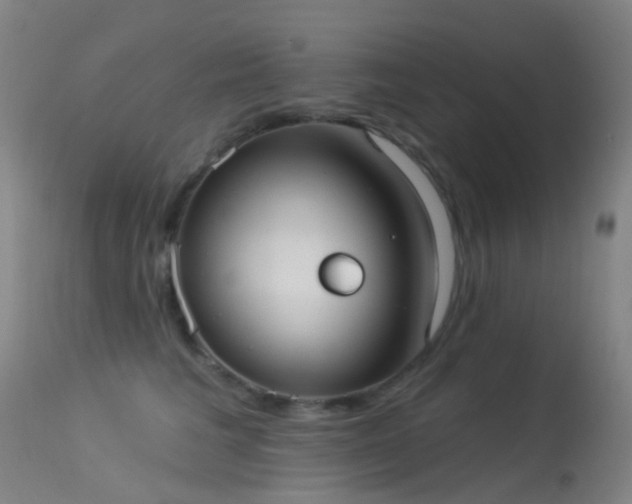 X0000113230613200909171540