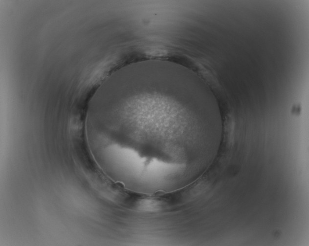 X0000113230614200909171540