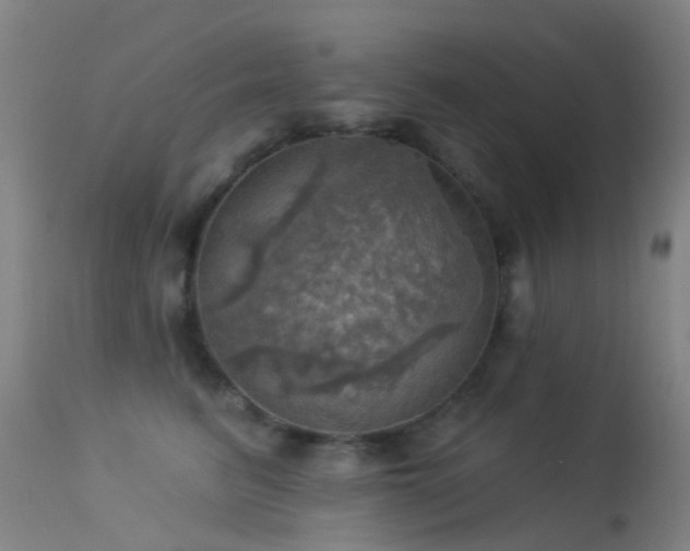 X0000113230615200909171540