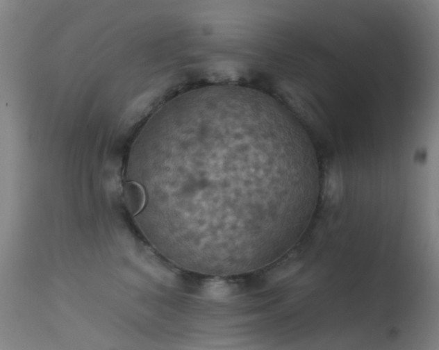 X0000113230616200909171540