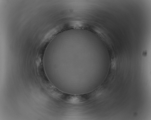 X0000113230618200909171540