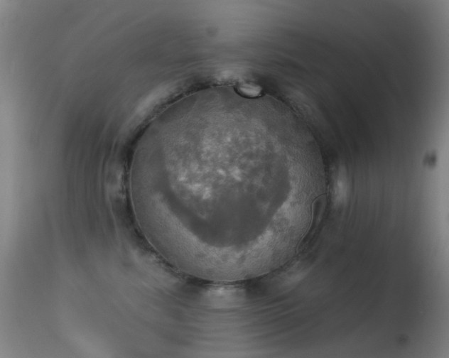 X0000113230619200909171540