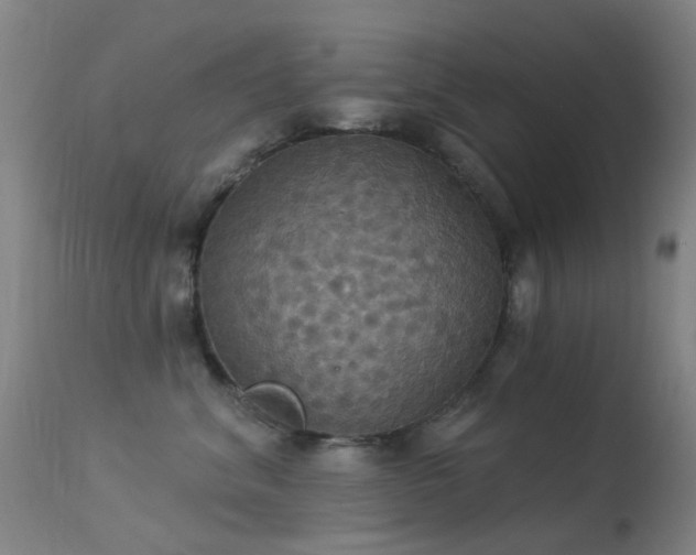 X0000113230620200909171540