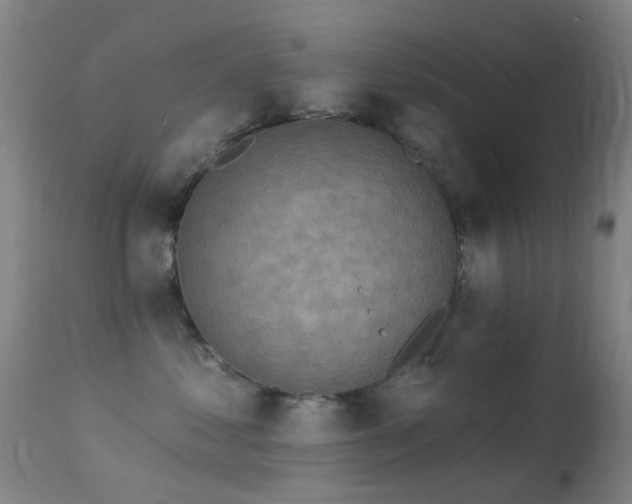 X0000113230621200909171540