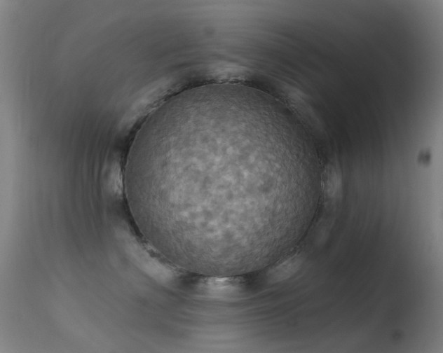 X0000113230622200909171540