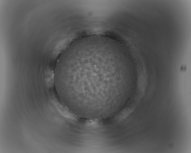 X0000113230624200909171540