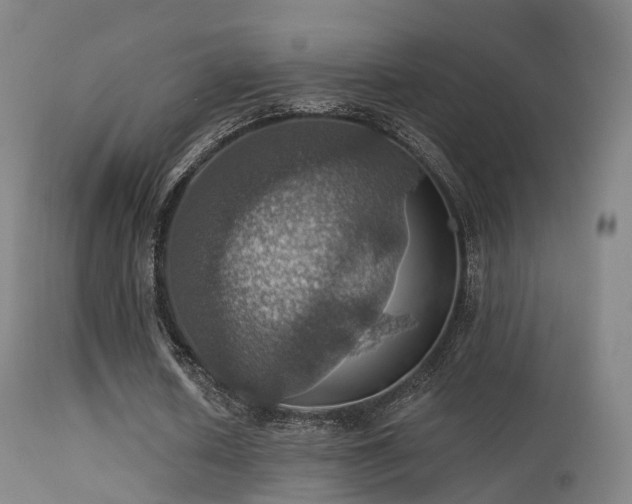 X0000113230626200909171539