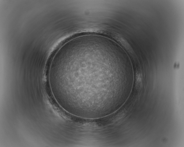 X0000113230628200909171539