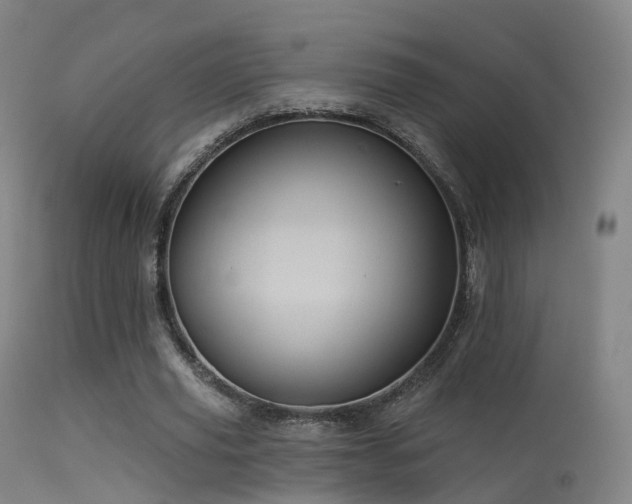 X0000113230629200909171539