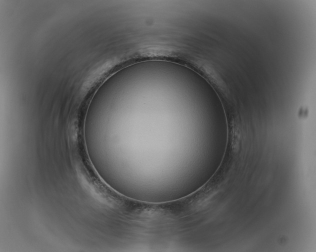 X0000113230631200909171540