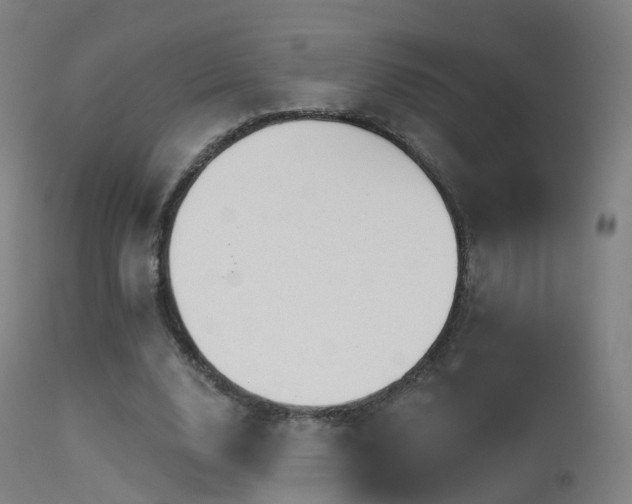 X0000113230632200909171540