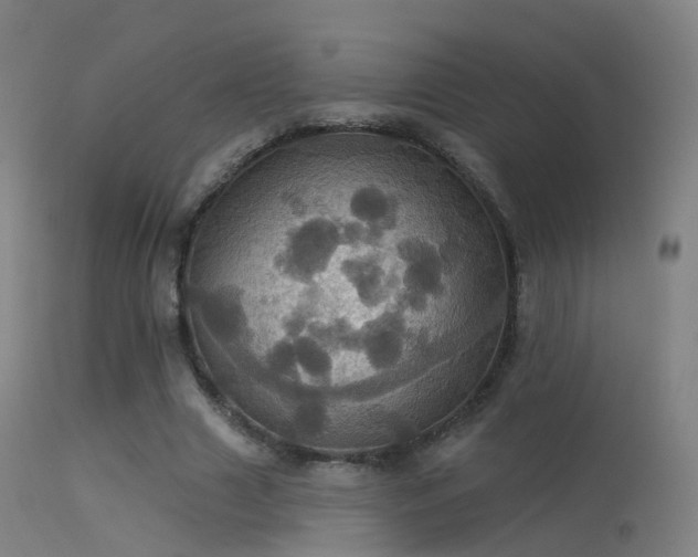 X0000113230633200909171540