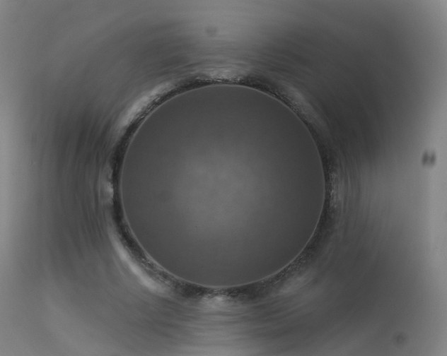 X0000113230634200909171540