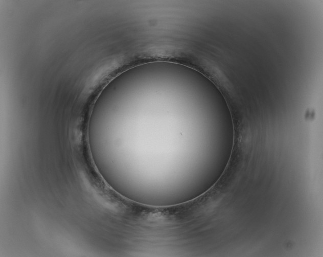 X0000113230635200909171540