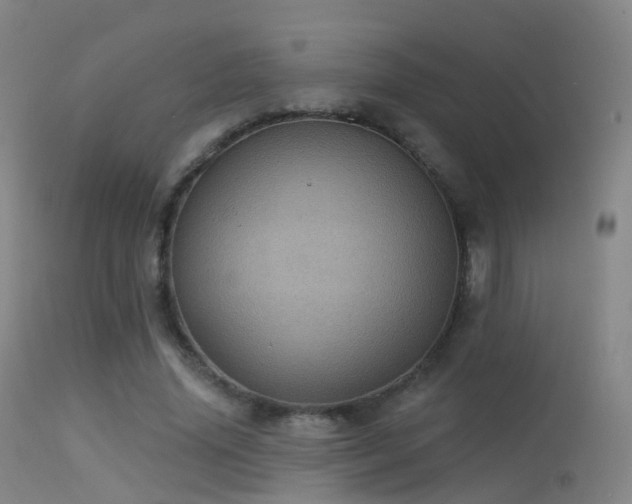 X0000113230636200909171540