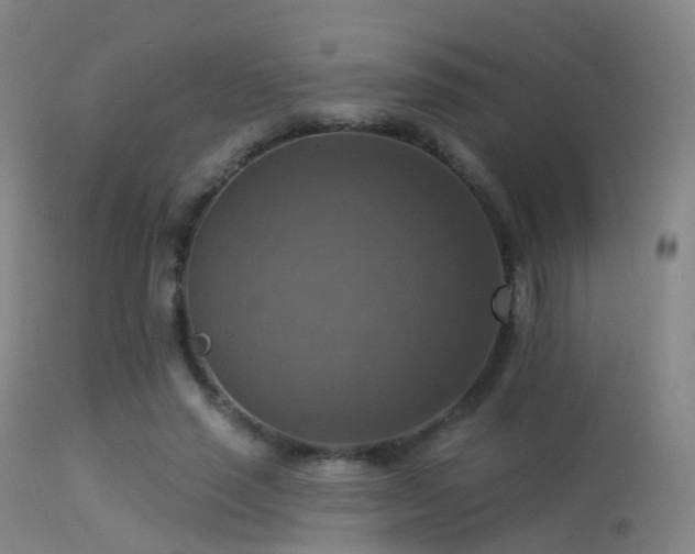 X0000113230637200909171540