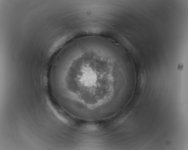 X0000113230638200909171540