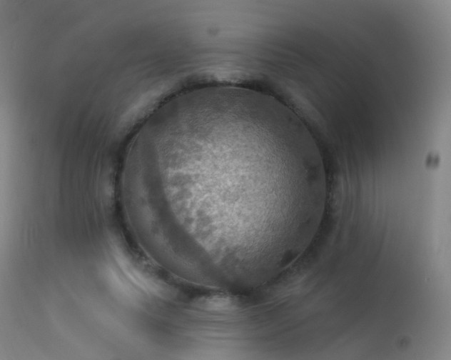 X0000113230639200909171540