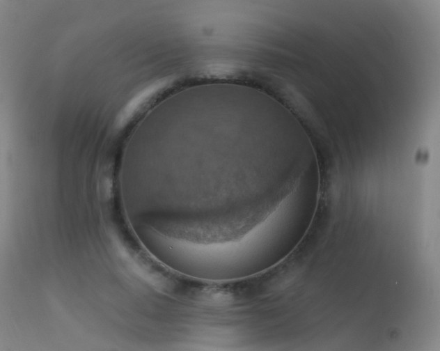 X0000113230640200909171540