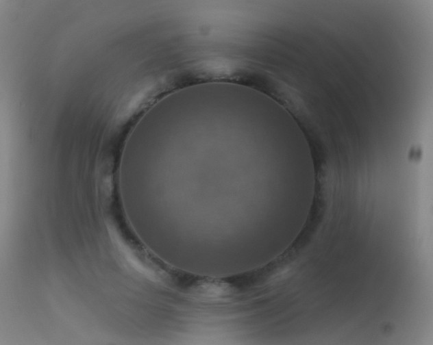 X0000113230642200909171540