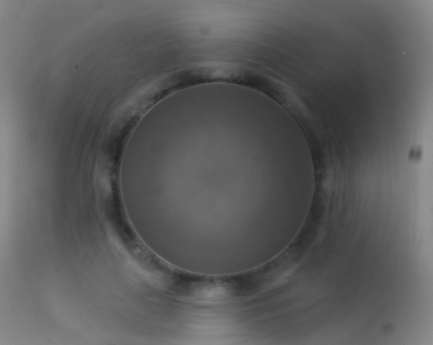 X0000113230643200909171540