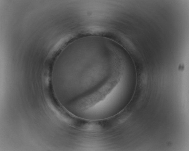 X0000113230644200909171540