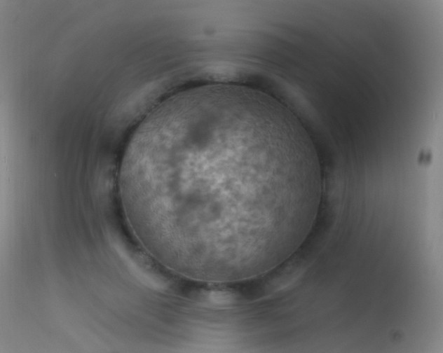 X0000113230645200909171540