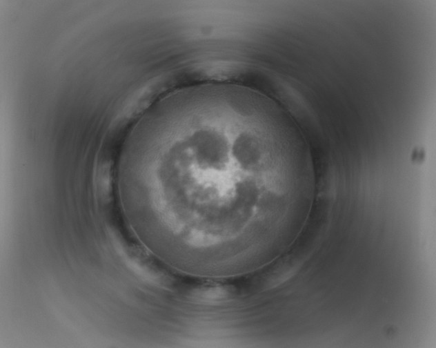 X0000113230646200909171540